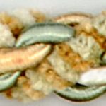 1179WL_BC