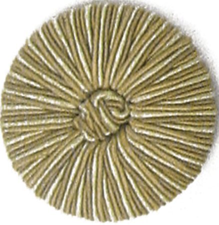 AS21801_KT3