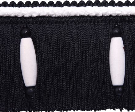 ASPEN=SKIRT