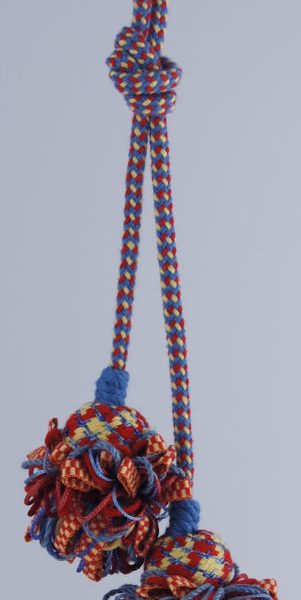 AV26422_TLN