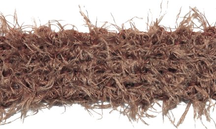 BIRCH=BRAID