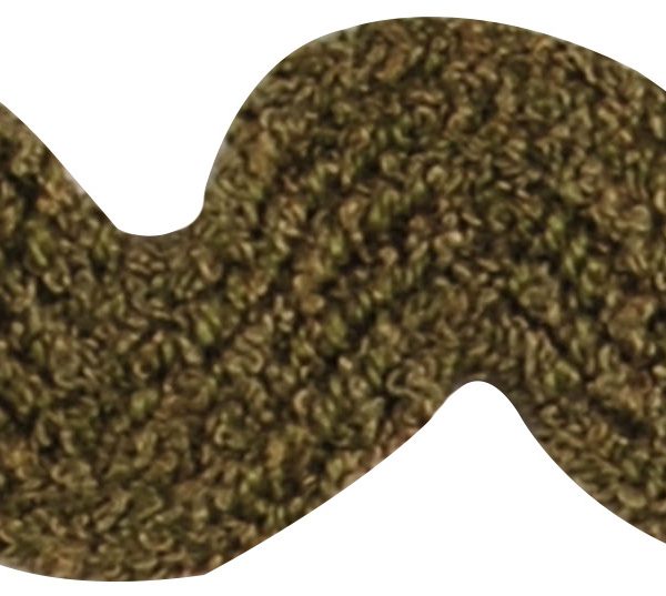 MC200_AST