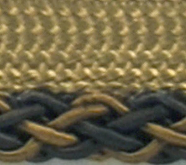 MN81877_FX1