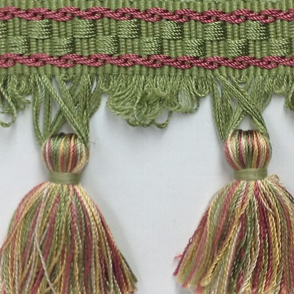 OASIS=TASSEL
