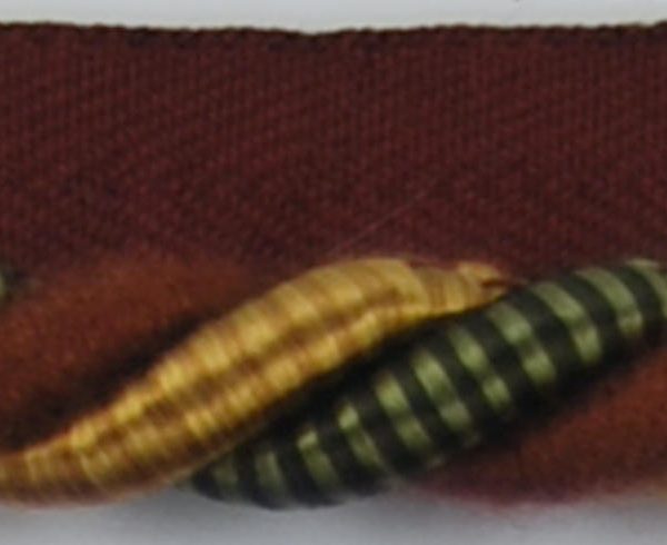 PR81775_XP7