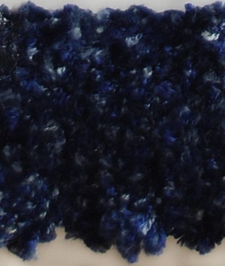 R9847_ANP