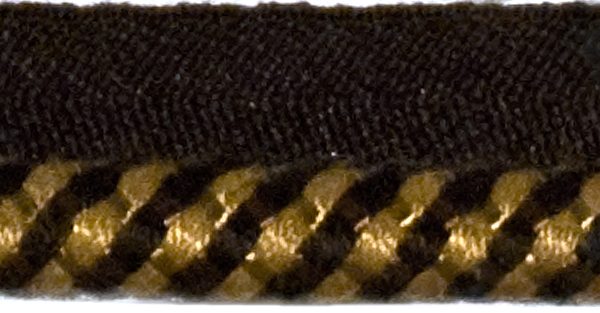 SER310_EAR
